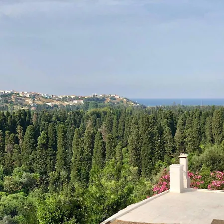 Tranquil Andros * Livadia (Andros)