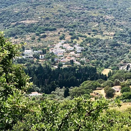 Tranquil Andros * Livádhia