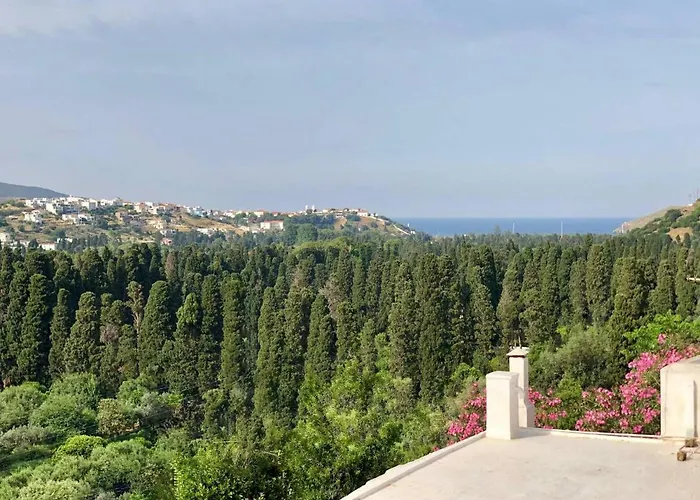 Tranquil Andros * Livádhia